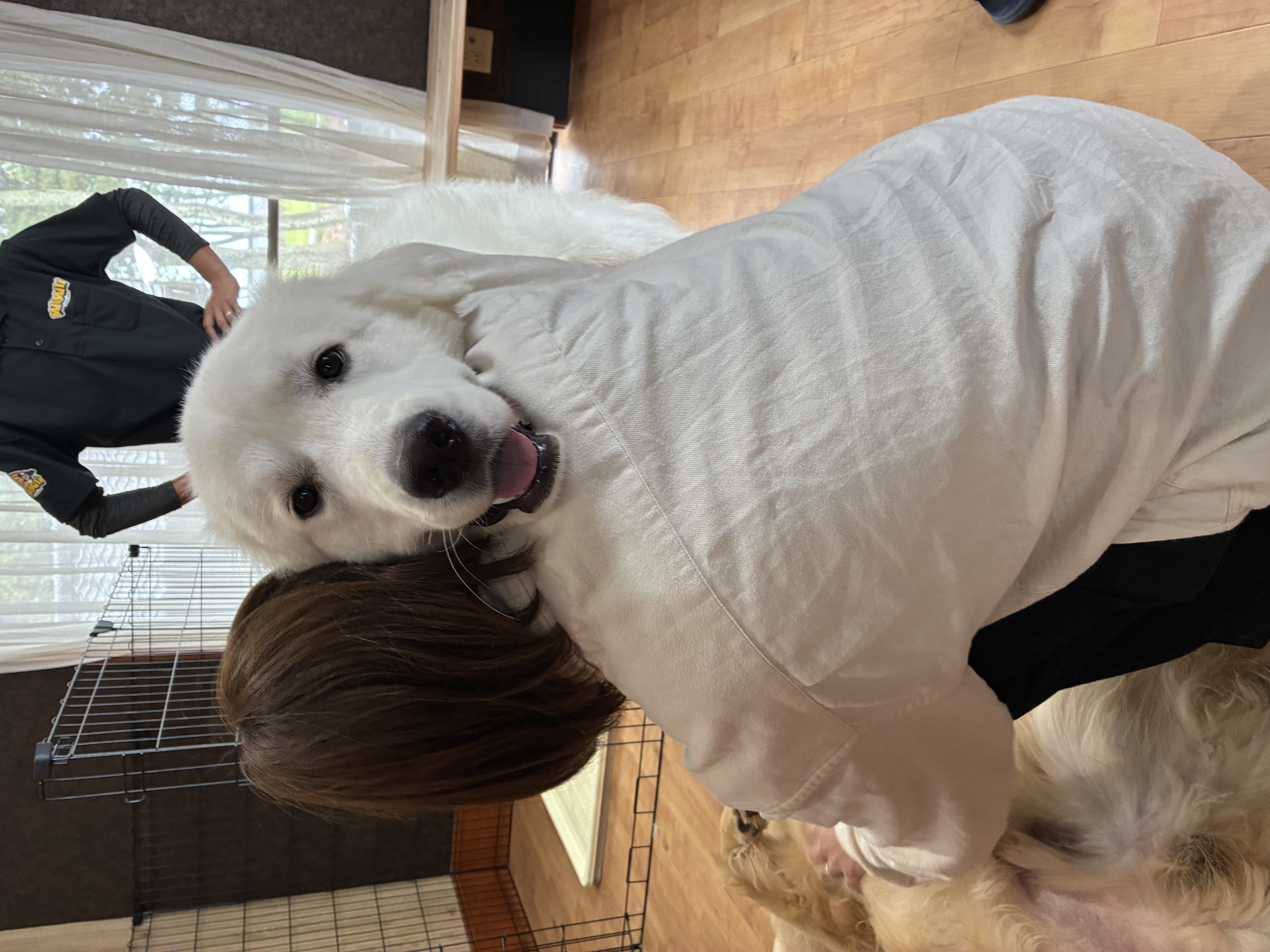 7. お問い合わせ・ご予約